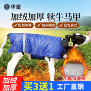 华畜犊牛马甲小牛，加厚防寒马甲牛犊子保暖防水犊牛养牛场保温衣服