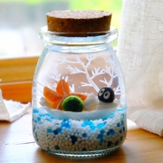 marimo幸福海藻球微景观生态瓶，玻璃瓶迷你盆栽创意礼物水培植物