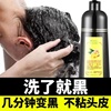 玛奇诺老姜王染发剂一洗黑纯植物盖白发，在家自己染发膏泡泡自然黑