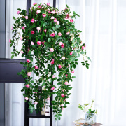 仿真绿植藤蔓假花蔷薇花，玫瑰月季花壁挂暖气管道，遮挡阳台花园装饰
