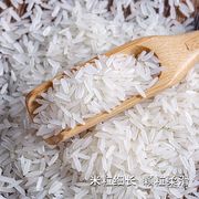 丝苗米长粒香大米籼米新米50斤南方淮河香米煲仔饭，米蛋炒饭米5kg