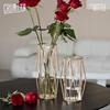 南十字星 轻奢金属玻璃花瓶客厅摆件创意发财果桌面插花装饰 拉索