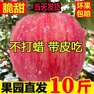 正宗陕西洛川苹果新鲜水果当季整箱红富士冰糖心一级脆甜10斤