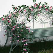 仿真花藤条玫瑰假花藤蔓阳台墙面，遮挡g管道，装饰假绿植绿叶摆设吊