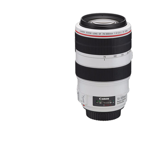 佳能 EF 70-300mm f4-5.6L IS USM 胖白 长焦红圈防抖镜头 远摄月