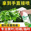 绿箩专用营养液肥花卉水培，植物绿箩室内家用盆栽肥料免稀释