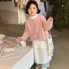 童裙2024春款韩版女童温柔刺绣，蕾丝蛋糕裙儿童小众设计叠穿半身裙