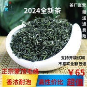 绿茶毛峰2024新茶四川蒙顶高山云雾特级茶浓香型日照散装500g