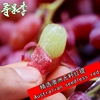 澳洲无籽红提2斤新鲜水果红提子葡萄时令进口提子红葡萄