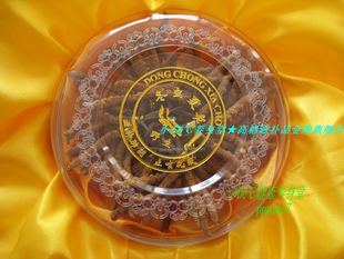  青海玉树精选野生冬虫夏草王 每克约2根 50克虫草礼盒