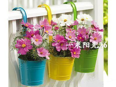 铁皮花桶挂钩可拆卸]新货刚到 6色齐全 乡村田园风花盆