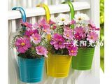 铁皮花桶挂钩可拆卸]5皇冠铁皮桶乡村田园风铁花盆双12狂欢特价
