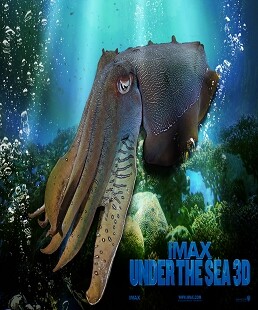3d蓝光碟 3d蓝光电影 蓝光3d电影碟片 海底猎奇 3d电影 片源