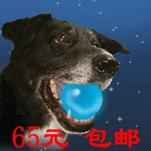 美国Nite Ize 奈爱K9、耐咬无毒橡胶球、狗狗宠物玩具、LED发光球