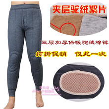 鄂尔多斯 男女士三层加厚驼绒裤男式保暖裤百分百驼绒羊绒裤棉裤