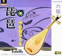 琵琶考级辅导大全 1-10级32集 6DVD