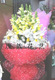 福州鲜花速递