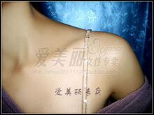 爱美丽女性专卖钻石肩带,内衣配件,内衣肩带