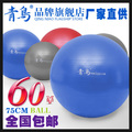 青鸟愈加球75cm瑜伽球 防爆 加厚 瑜珈球送气泵 健身球 包邮特价