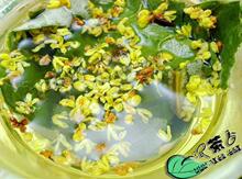 减肥茶【桂香荷叶茶】决明子 纤体 排毒茶 养胃 一月量免邮还赠送