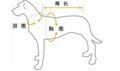☆COLOR SHOW☆差价专拍（测量衣服方法图）