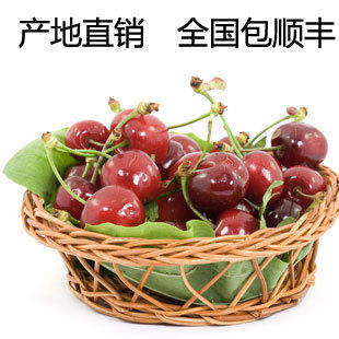 [金牌卖家]预售山东烟台大樱桃/车厘子新鲜水果5斤包邮5月底发货