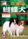 原版大江真實西施犬教養小百科