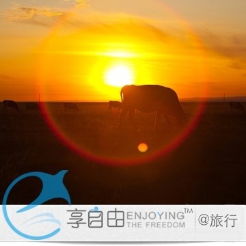 内蒙古旅游 海拉尔出发 呼伦贝尔草原 满洲里 额尔古纳三日游 内蒙古旅游 海拉尔出发 呼伦贝尔草原 满洲里 额尔古纳三日游
