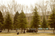 ^中国中医药年鉴2010