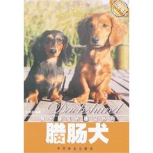 腊肠犬 许勇茜 正版满78包邮T