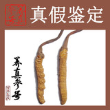 taobao english 13174086575