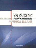 浅表器官超声动态图鉴   徐秋华 正版 西医  满30包邮  商城  全