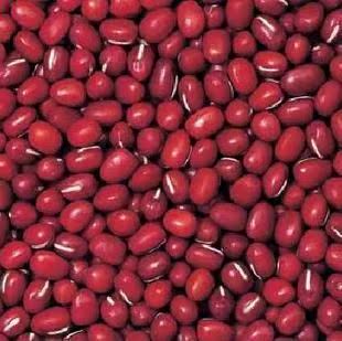  年新货 优质大赤豆500g*红小豆*红豆(杂粮)*最美枣庄杂粮店*