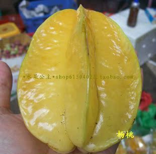  新鲜水果/海南/三亚/新鲜杨桃 产地直销 个大肉厚 5斤