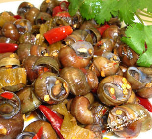  满68包邮 现做私房菜四川特产小吃 香辣麻辣泡椒爆炒田螺螺蛳250g