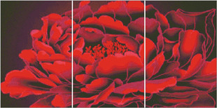 胡丽丽(胡丽丽)十字绣，dmc套件富贵之花红牡丹三联画有3d5d精准印花印布
