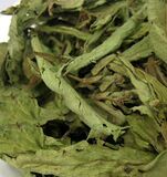 甜叶菊（甜菊叶）降糖降压25克