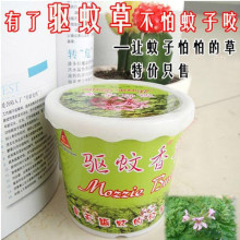 夏季热卖/式精装驱蚊草/防蚊/灭蚊