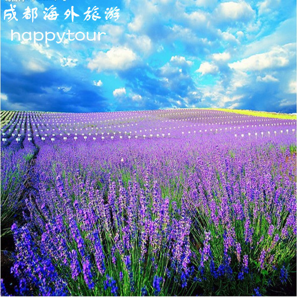 欧洲旅游 西法瑞14天 薰衣草的天空 成都直飞特价 欧洲旅游 西法瑞14天 薰衣草的天空 成都直飞特价