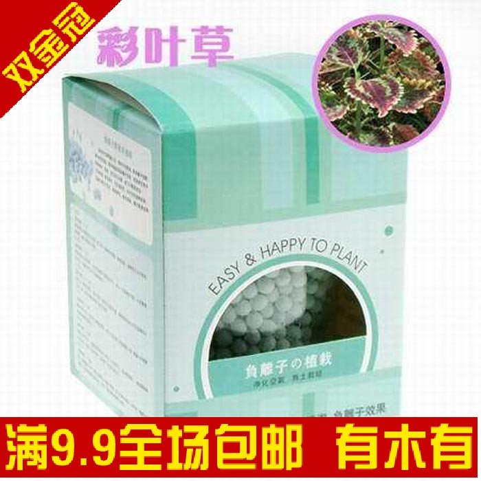 DIY花草植物种植-陶碳球-负离子の植栽 创意盆栽 （彩叶草）