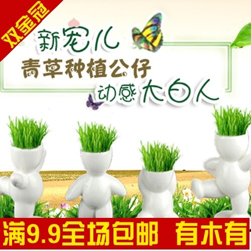 生态E园 最新款动感小白人 大号 好种易生长发芽率高(我活跃)