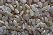 东北农家五常，稻花香糙米自家粗粮五谷杂粮，粳米胚芽米发芽糙米