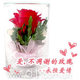 全国包邮费限量泰国进口永恒的爱 童话版不凋谢的真玫瑰花