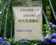 去痘面膜２包 去痘内服散１份