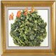 清馨茶庄-黄金桂-08春茶抢鲜香