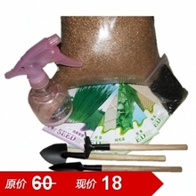 【开心赚宝】四季家庭种植套装 盆栽 营养土 工具 喷壶 种子 肥料
