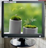 taobao english 3814089830