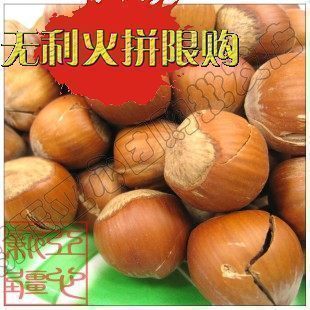  免邮费新疆特产 开口榛子250g大榛子仁胜过东北榛子 可做榛子酱