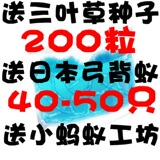 taobao english 6944854898