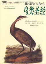 (正版新书)-鸟类圣经:世界最伟大的鸟类图谱/约翰·詹姆斯·奥杜